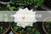 小学五年级作文题目汇总？适合5年级的作文题目有哪些？