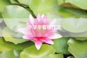 小学生看图作文_六年级看图作文