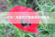 小学二年级作文我最喜欢的玩具,小学二年级作文？