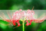 小学生三年级作文__小学想象作文？