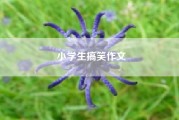 小学生搞笑作文（一年级作文）