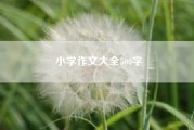 小学作文大全500字~小学作文300字？