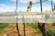 小学生作文我的理想；小学作文我的爸爸?
