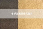 小学生搞笑作文图片(求一篇搞笑作文)
