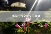 小学生作文范文二年级……小学一年级作文范文10篇？