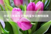 小学三年级作文我的家乡日照特别美_小学三年级作文我的家乡300字左右怎么写