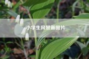 小学生风景画图片.四年级风景作文300字？