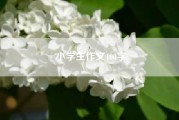 小学生作文400字!下雪了小学一年级作文