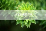 小学生搞笑作文(小学作文类型有哪些)