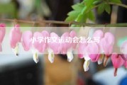 小学作文运动会怎么写、小学田径运动会作文