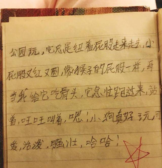 张馨予晒五篇小学作文，自称可以笑出猪叫 张馨予晒五篇小学作文，自称可以笑出猪叫 小学作文