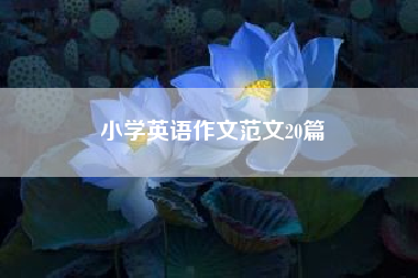 小学英语作文范文20篇?小学英语作文带翻译? 三年级作文