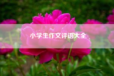 小学生作文评语大全?小学六年级写景的作文600字左右? 二年级作文