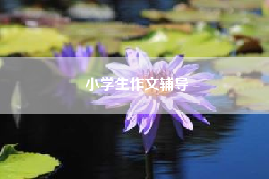 小学生作文辅导__小学生上作文培训班有用吗 二年级作文