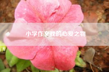 小学作文我的心爱之物~~我的同学小学作文500字? 二年级作文