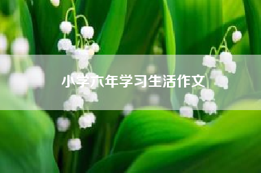小学六年学习生活作文?难忘小学生活作文400字? 一年级作文