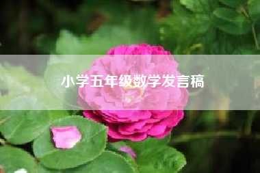 小学五年级数学发言稿(五年级作文发言稿怎么写) 二年级作文
