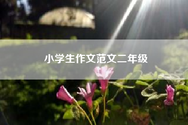 小学生作文范文二年级……小学一年级作文范文10篇？ 一年级作文