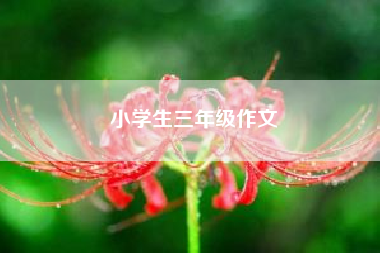 小学生三年级作文__小学想象作文？ 一年级作文