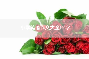 小学英语作文大全100字(小学英语作文) 二年级作文