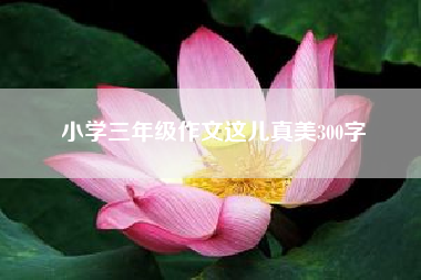 小学三年级作文这儿真美300字？感谢信老师300字作文？ 三年级作文