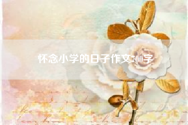 怀念小学的日子作文700字（怀念小学的日子作文600字） 六年级作文