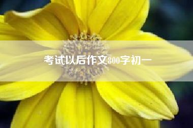 考试以后作文800字初一？小学生作文语文考试之后感想500字？ 四年级作文