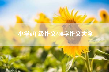 小学6年级作文600字作文大全(小学六年级作文) 三年级作文