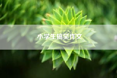 小学生搞笑作文(小学作文类型有哪些) 六年级作文