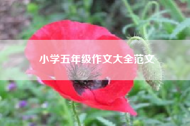 小学五年级作文大全范文.五年级作文 四年级作文