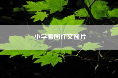 小学看图作文图片(小学二年级看图作文) 三年级作文