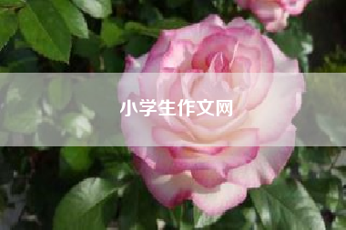 小学生作文网　《小学生优秀作文》怎样网上投稿? 三年级作文