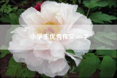 小学生优秀作文500字?小学学作文500字? 四年级作文