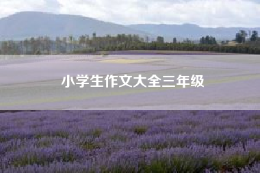 小学生作文大全三年级？小学生作文大全？ 四年级作文
