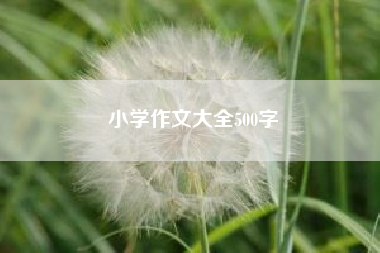 小学作文大全500字~小学作文300字？ 五年级作文